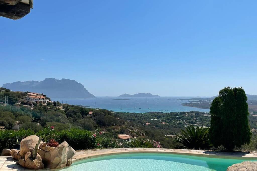 Villa And Pool Tavolara View Porto Istana Eksteriør bilde